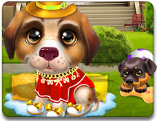 Cute Puppy Dressup